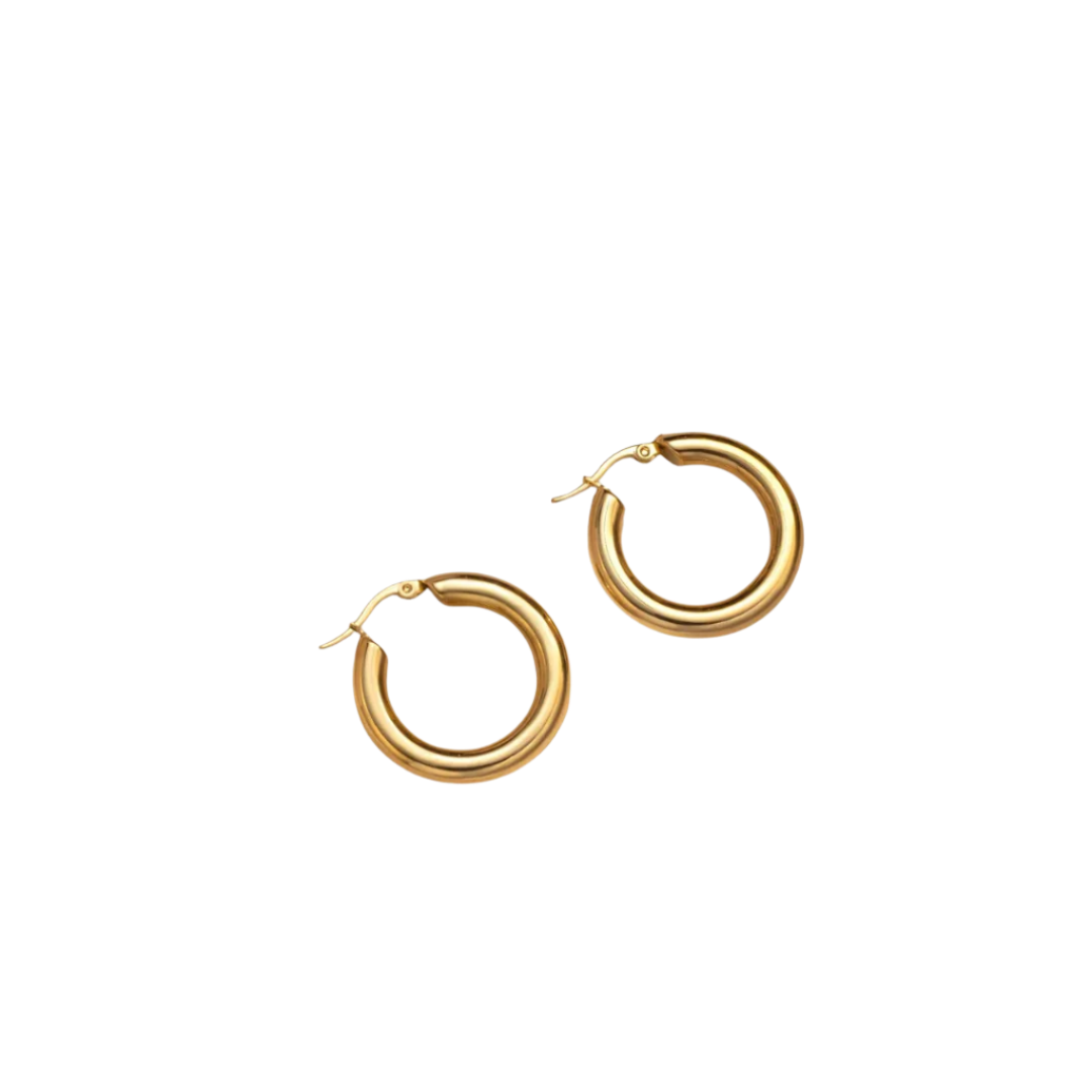 DIARIO EARRINGS
